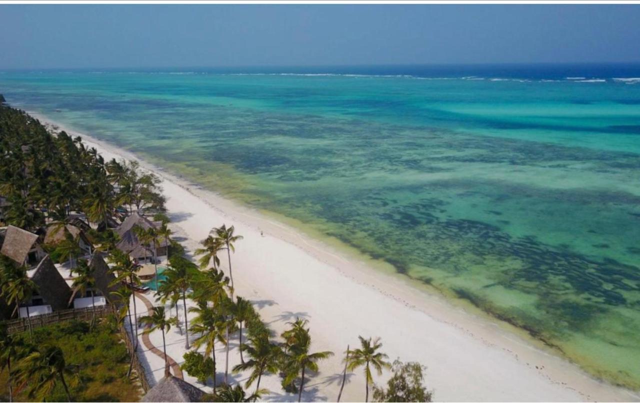 Afriican Village Zanzibar Michamvi المظهر الخارجي الصورة