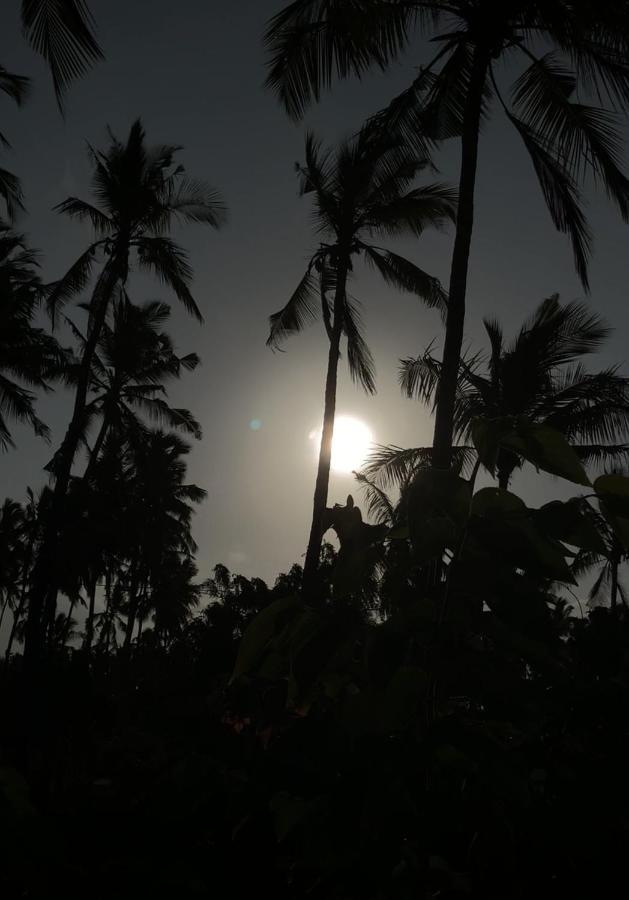 Afriican Village Zanzibar Michamvi المظهر الخارجي الصورة