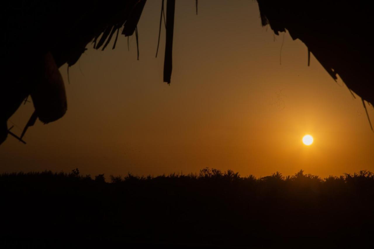 Afriican Village Zanzibar Michamvi المظهر الخارجي الصورة